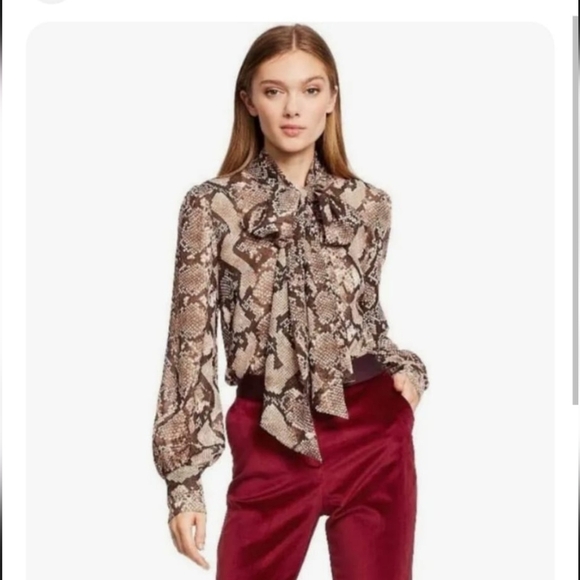 Altuzarra Tops - Altuzarra Snake Print Blouse - Brown